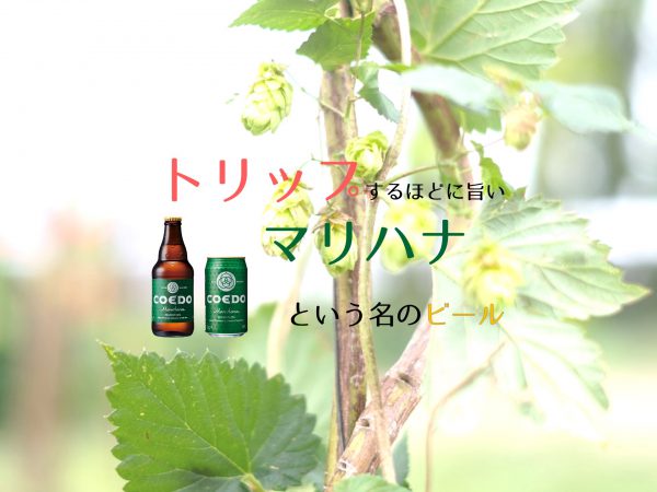 COEDO毬花のアイキャッチ「トリップするほどに旨いマリハナという名のビール」